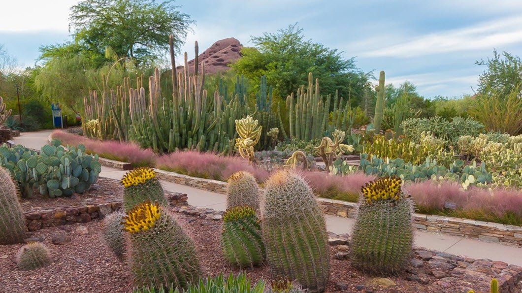 Desert Botanical Garden, United States